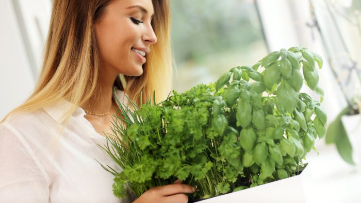 De ce să consumi rucola? Beneficii și nutrienți